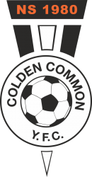 Colden Common Youth FC badge